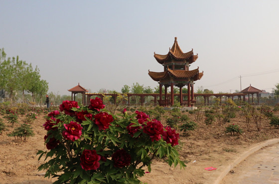 春色满校关不住 鲜花绿树入镜来
