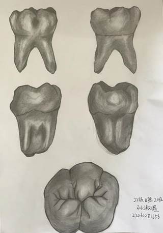 117684240391305099