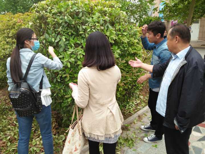 绿色校园 你我共建