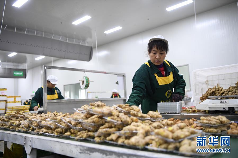 (在习近平新时代中国特色社会主义思想指引下——新时代新作为新篇章·总书记关切高质量发展·图文互动)(3)稳住“一头猪”、供好“一袋米”、配好“一篮菜