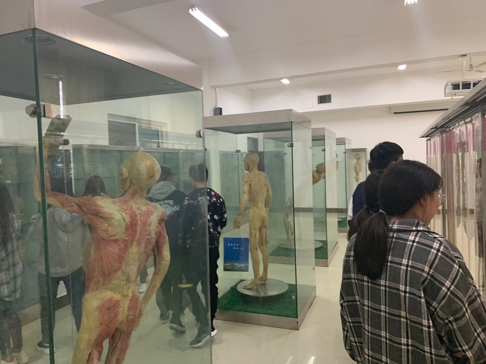 我部形态一实验室举行遗体捐献倡议活动
