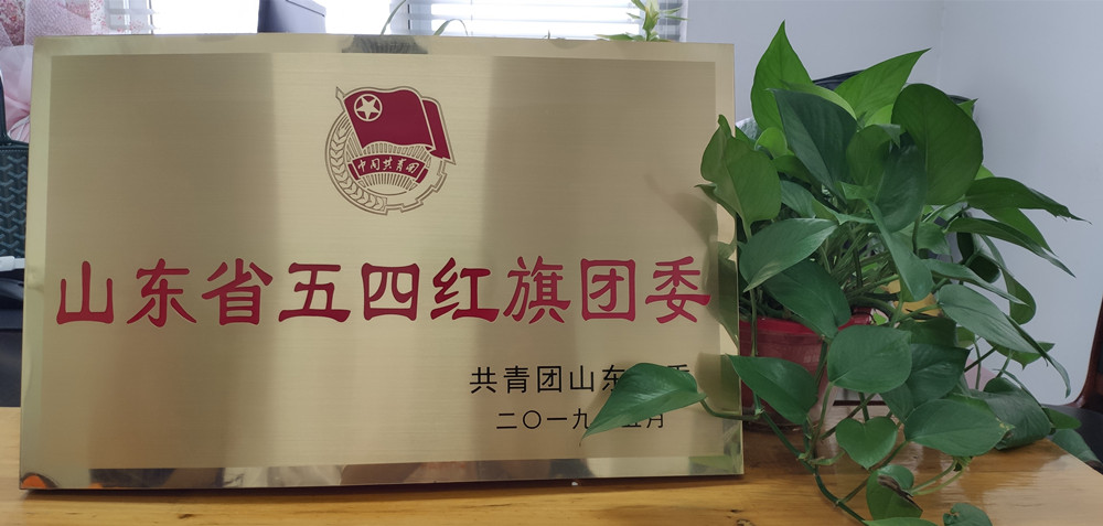 我校团委荣获2018年度“山东省五四红旗团委”称号