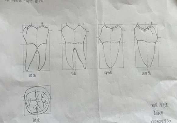 704936749351984052