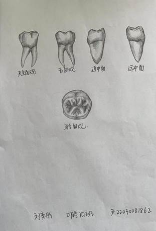 209078270390978266
